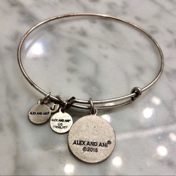 🌉 Alex and Ani San Francisco Bangle Bracelet - Picture 2 of 2